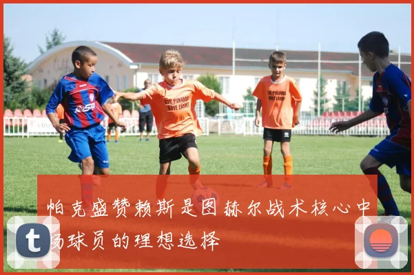 帕克盛赞赖斯是图赫尔战术核心中场球员的理想选择