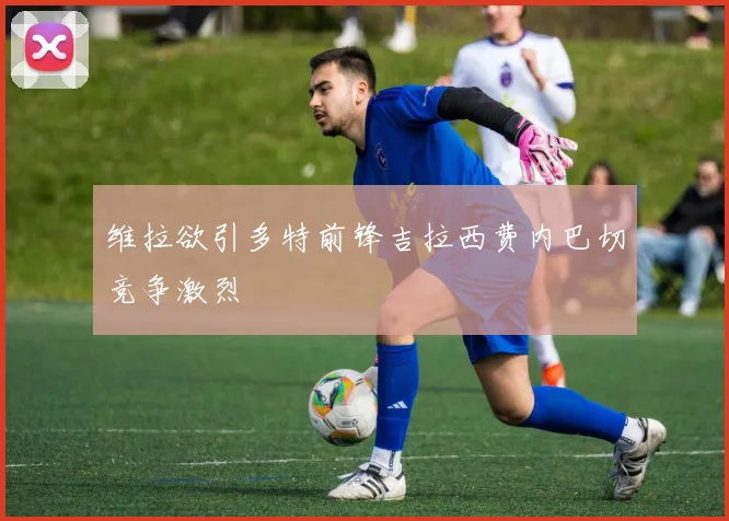 维拉欲引多特前锋吉拉西费内巴切竞争激烈